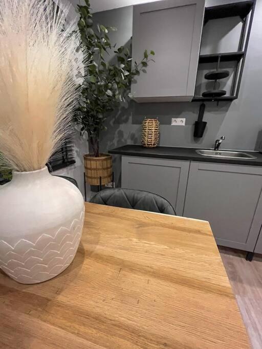 Gezellig Appartement, Gerenoveerd Eind 2022 * Tilbourg